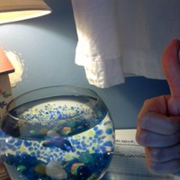 Портфолио jillian h